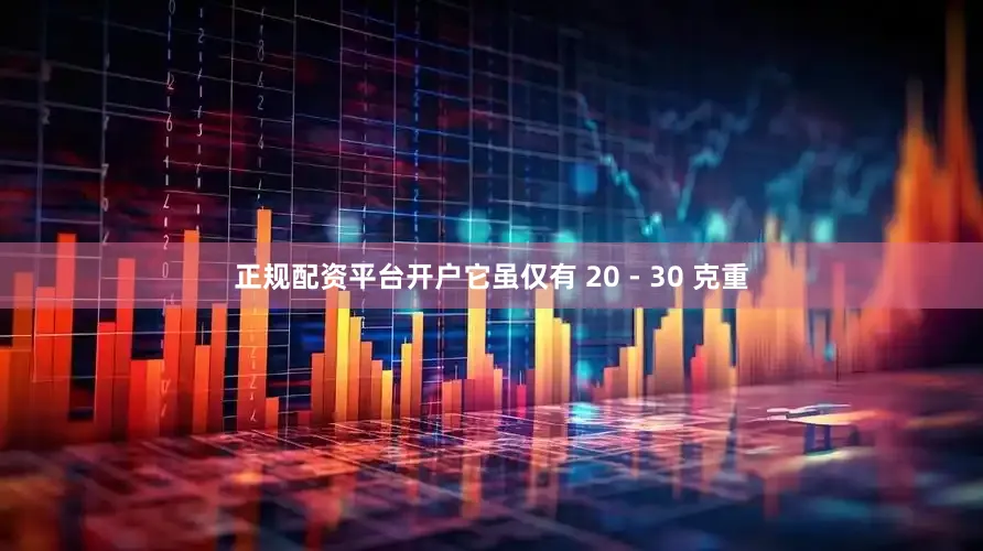 正规配资平台开户它虽仅有 20 - 30 克重