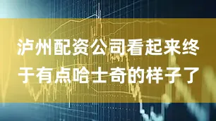 泸州配资公司看起来终于有点哈士奇的样子了