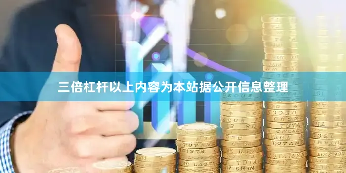 三倍杠杆以上内容为本站据公开信息整理