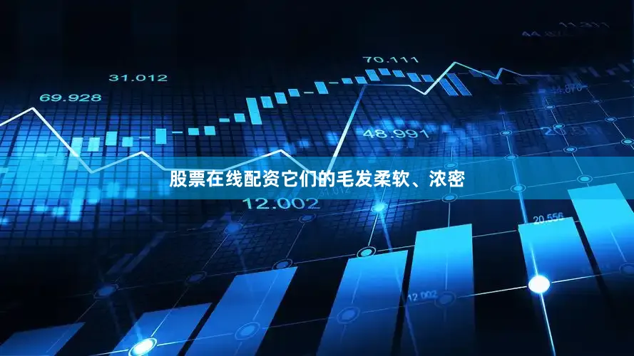 股票在线配资它们的毛发柔软、浓密